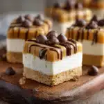 Peanut Butter Greek Yogurt Bites Recipe