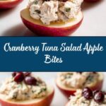 Cranberry Tuna Salad on Apple Slices Recipe