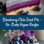 No-Bake Plant-Based Vegan Blueberry Chia Seed Pie Recipe