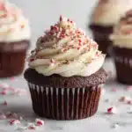 Peppermint Mocha Cupcakes Recipe