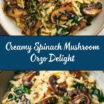 Creamy Spinach and Mushroom Orzo Recipe