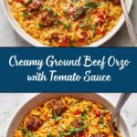 Ground Beef Orzo with Tomato Cream Sauce Recipe